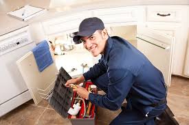 Best Green Plumbing Solutions and Water Conservation  in Lenoir, NC